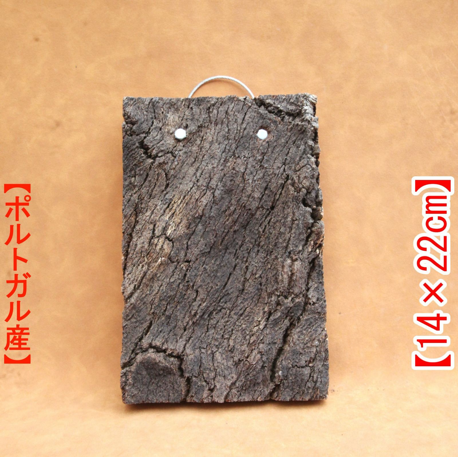 C051 ポルトガル産 コルク樹皮 キャノンコルク バージンコルク 送料