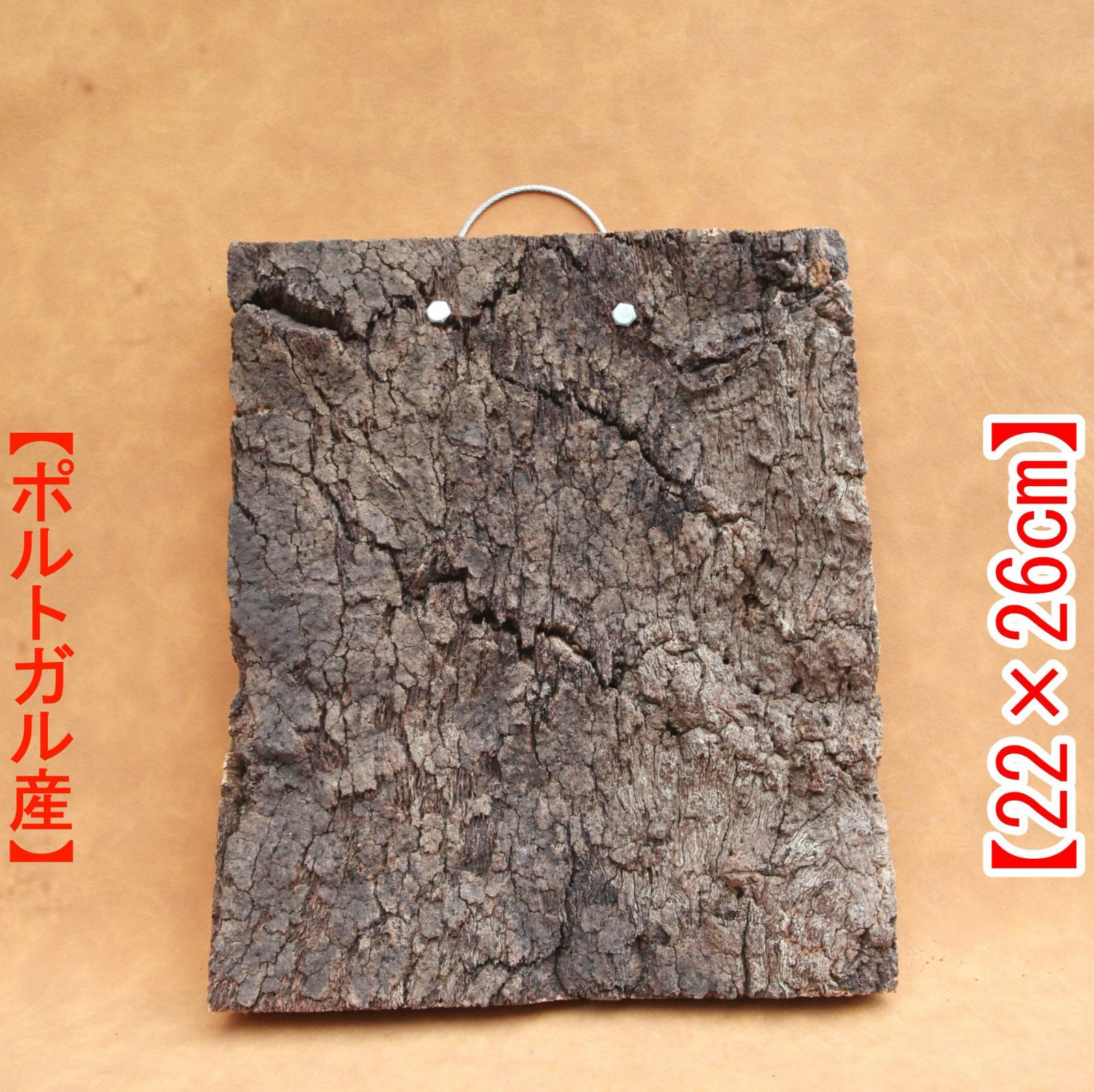 肉厚 コルク 板 （BD7) ポルトガル産 原木 バージンコルク 樹皮 コルク