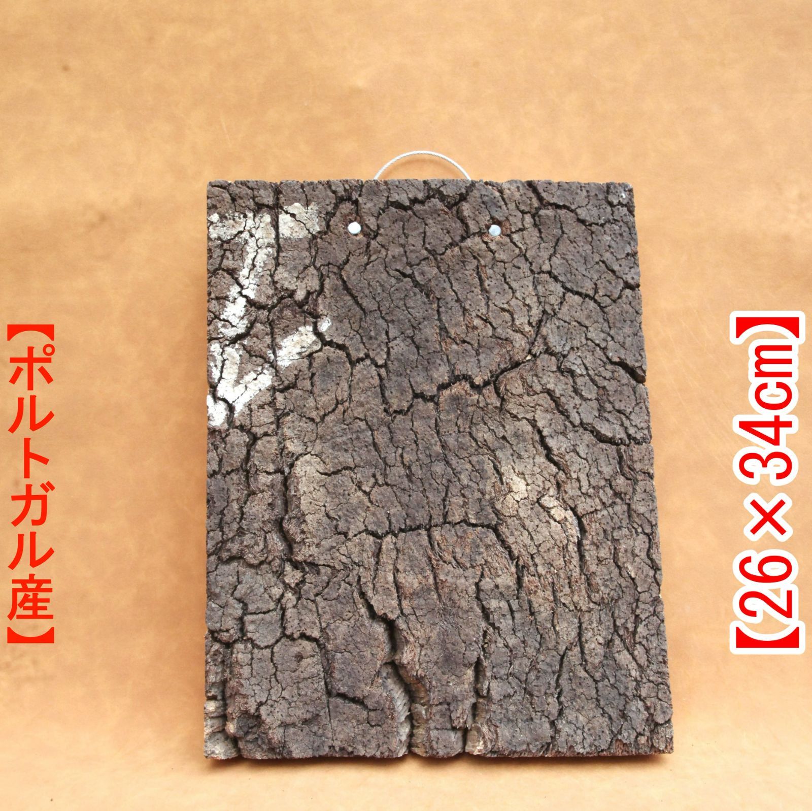 C051 ポルトガル産 コルク樹皮 キャノンコルク バージンコルク 送料