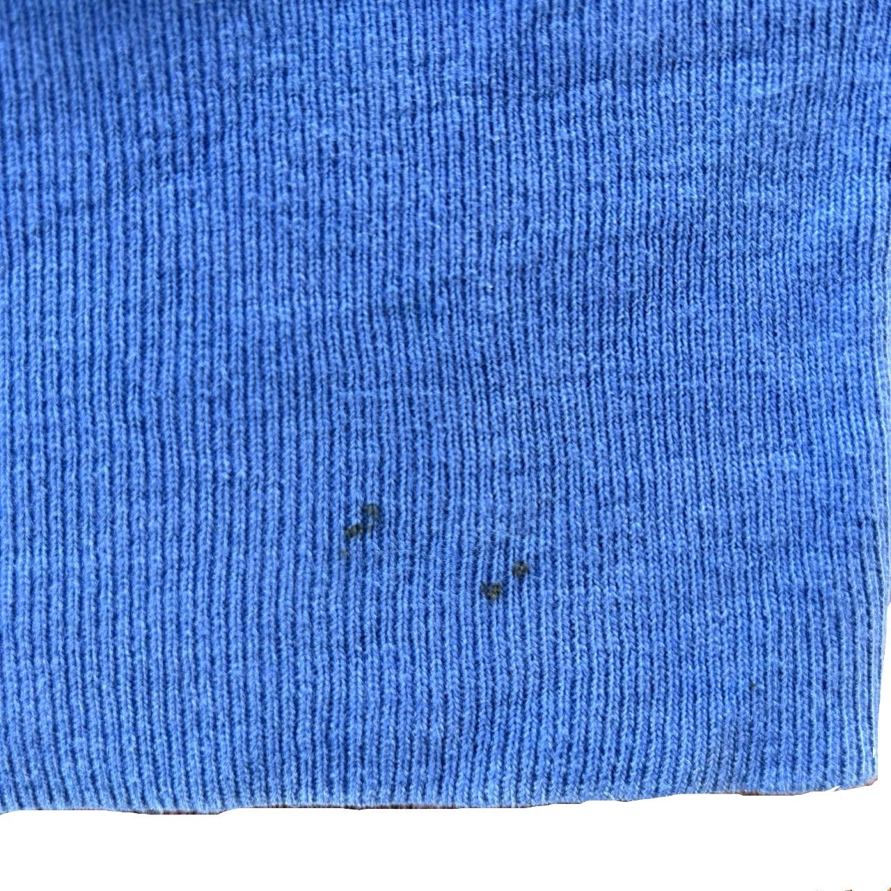 90s 完全目無し Champion チャンピオン USA製 L ブルー Reverse Weave