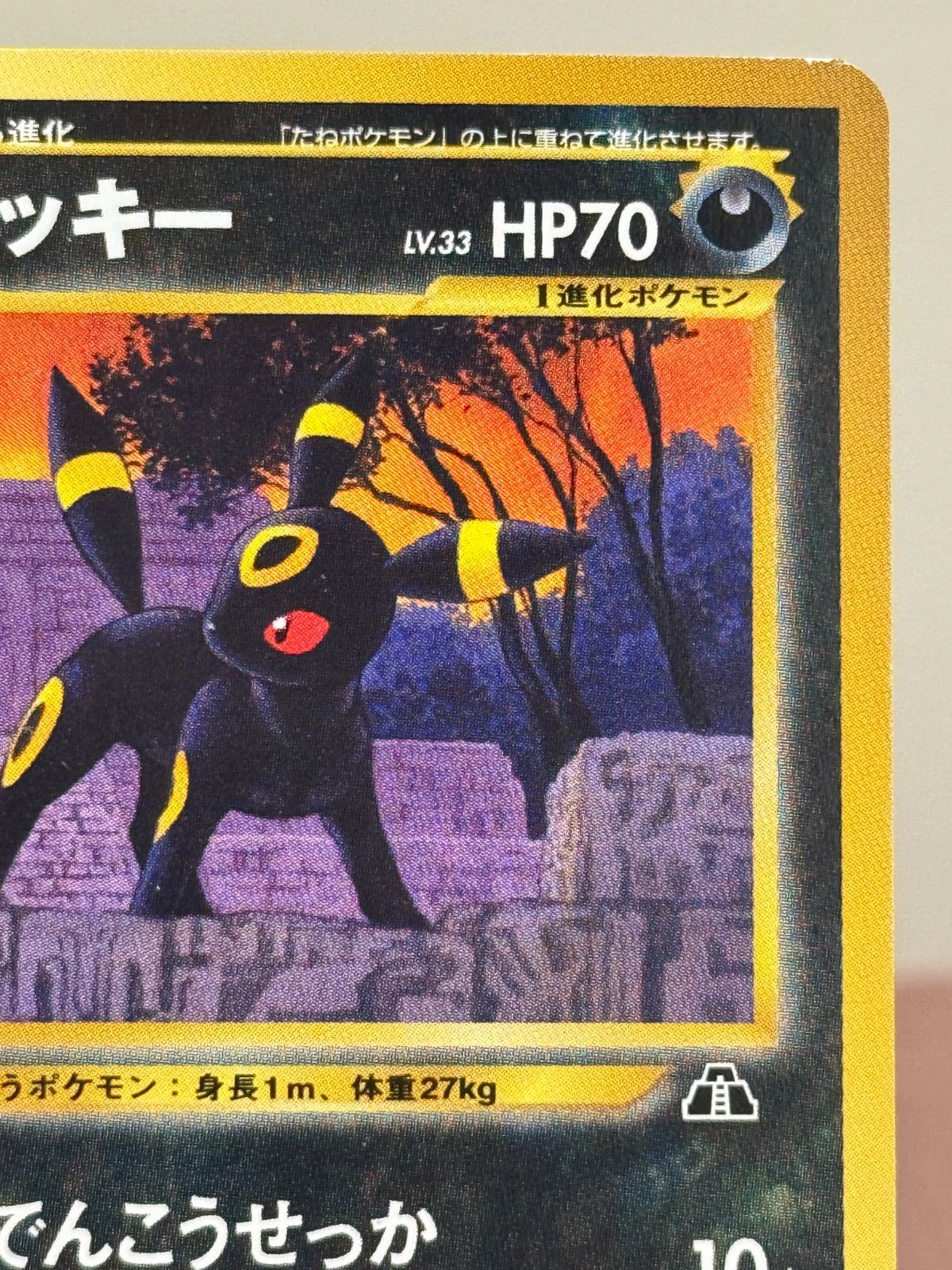 旧裏】 ブラッキー LV.33 旧裏面 No.197 プレミアムファイル2 ポケモン