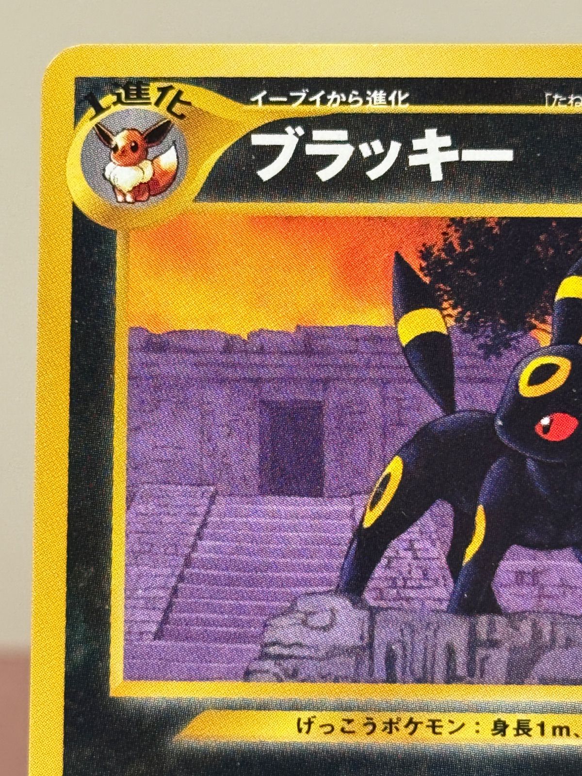 ブラッキー Lv.33旧裏 ポケモンカード No.197 プレミアムファイル2 旧裏】 ブラッキー LV.33 旧裏面 No.197 プレミアムファイル2 ポケモン