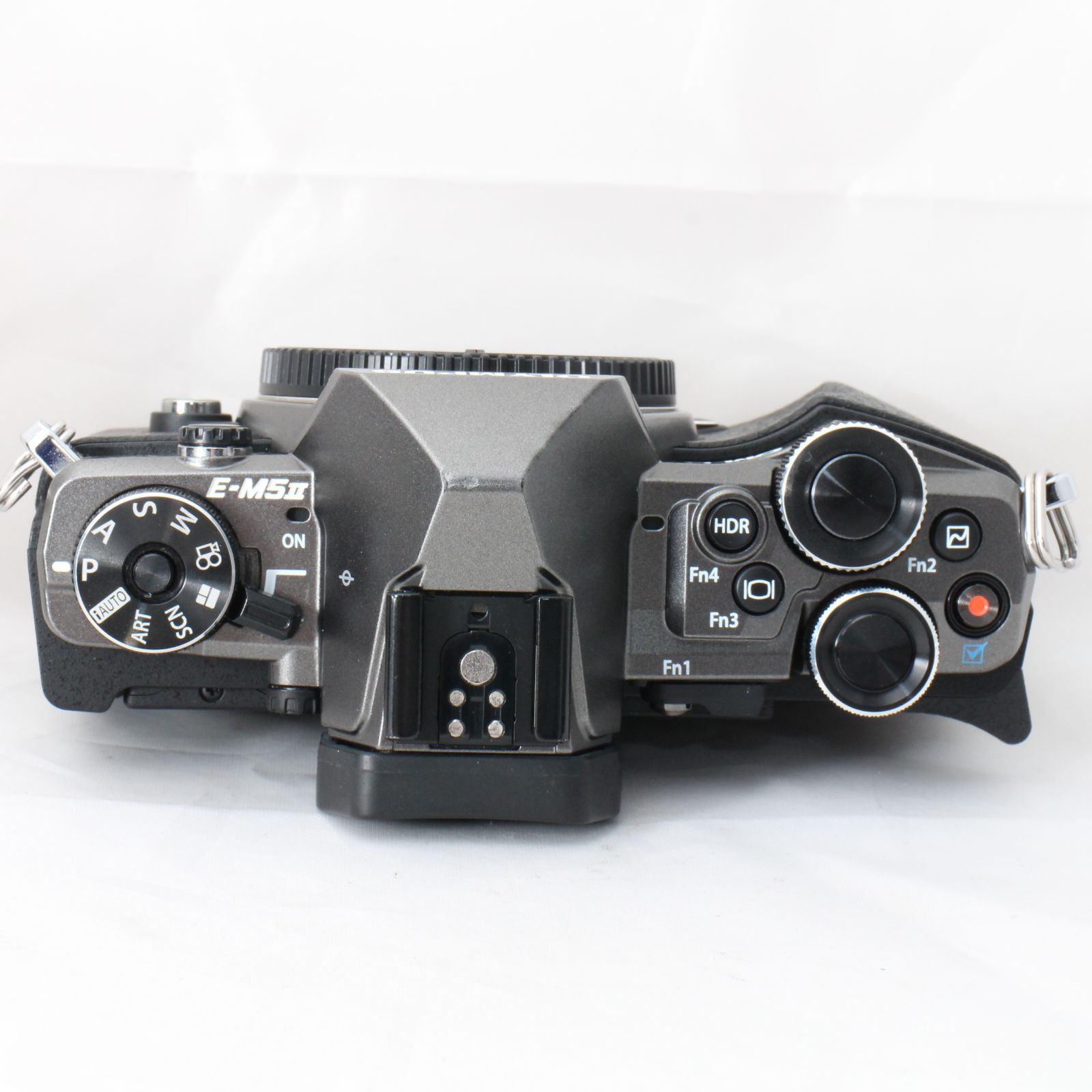 ☆美品・ショット数3308☆ OLYMPUS ミラーレス一眼 OM-D E-M5 MarkII