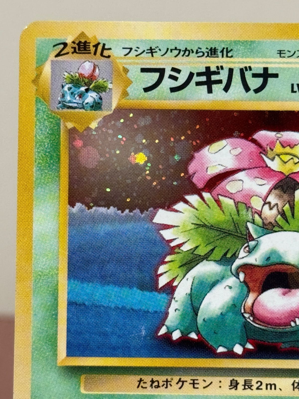 正規品の通販サイト フシギバナ ポケモンカードGBオフィシャルガイド