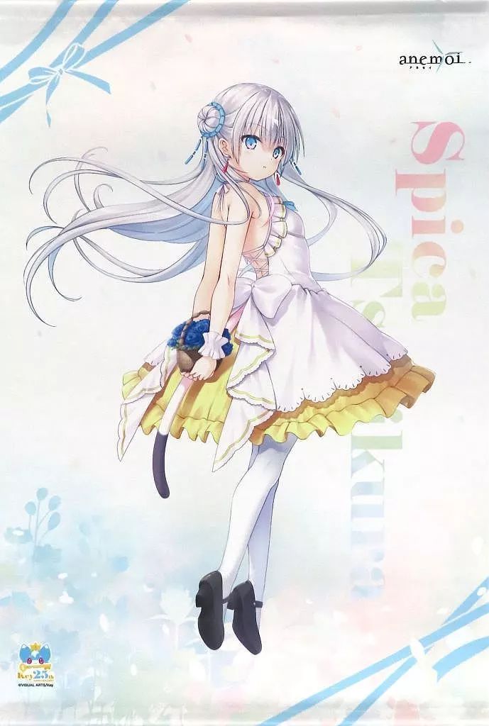 anemoi アネモイ 辻倉朱比華 タペストリー 販売記念ポスター+本体 中古】タペストリー 辻倉朱比華 B2タペストリー 「anemoi -アネモイ