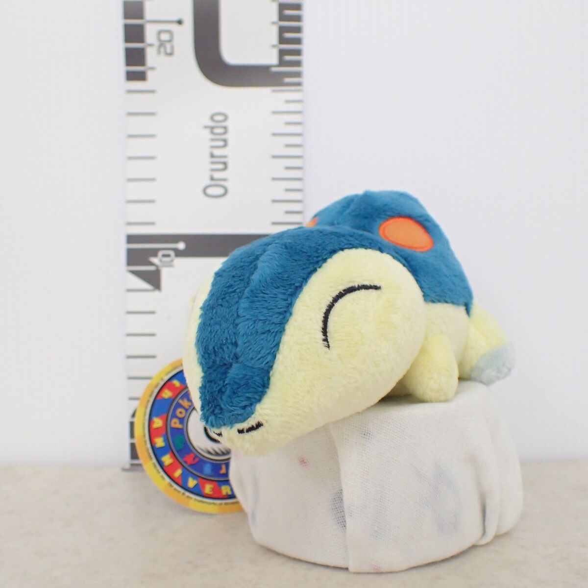 ポケモンセンター ぬいぐるみ ヒノアラシドール 10th Anniversary ver