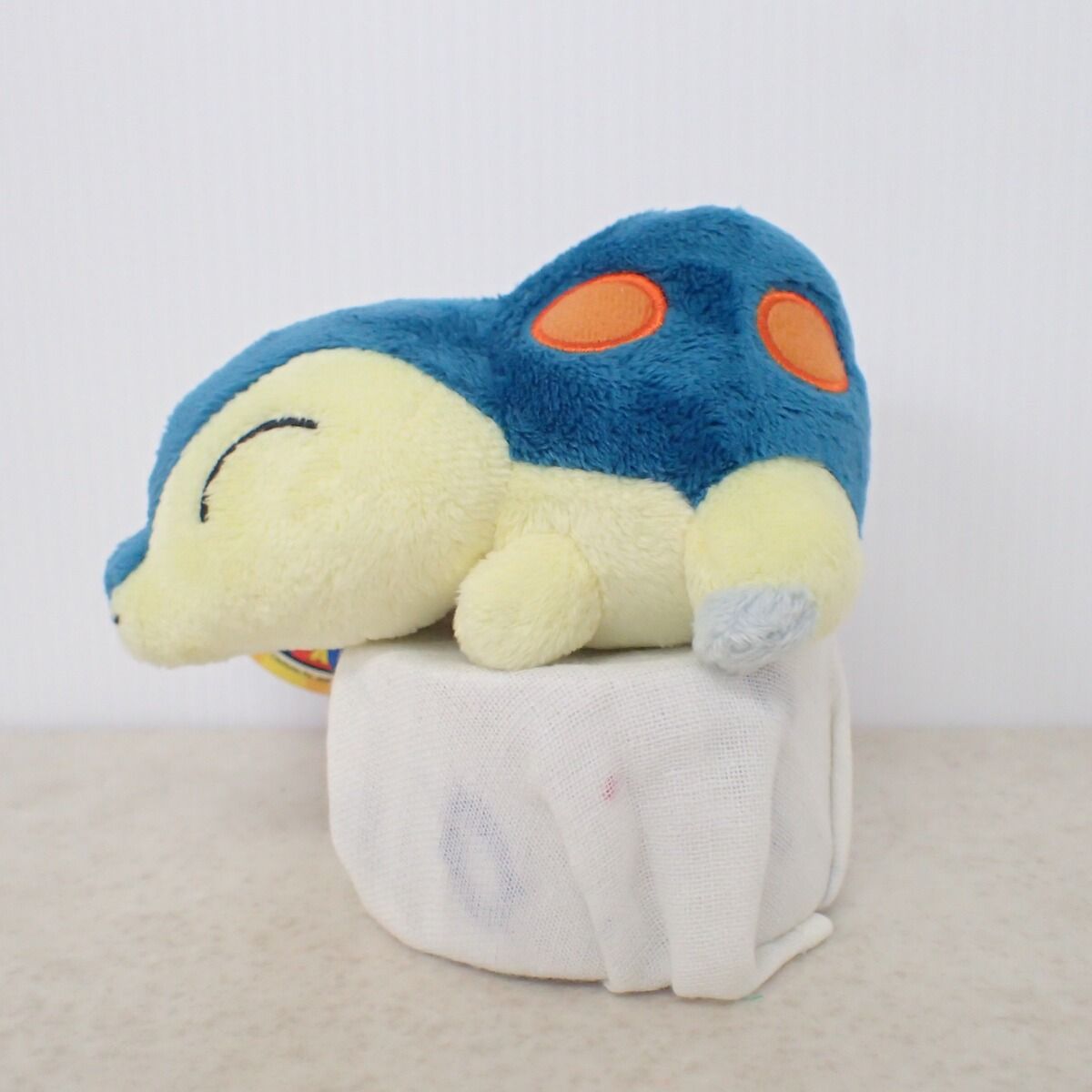 ポケモンセンター ぬいぐるみ ヒノアラシドール 10th Anniversary ver
