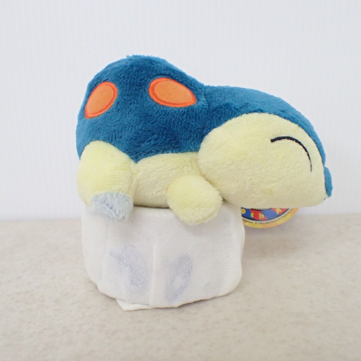 ポケモンセンター ぬいぐるみ ヒノアラシドール 10th Anniversary ver