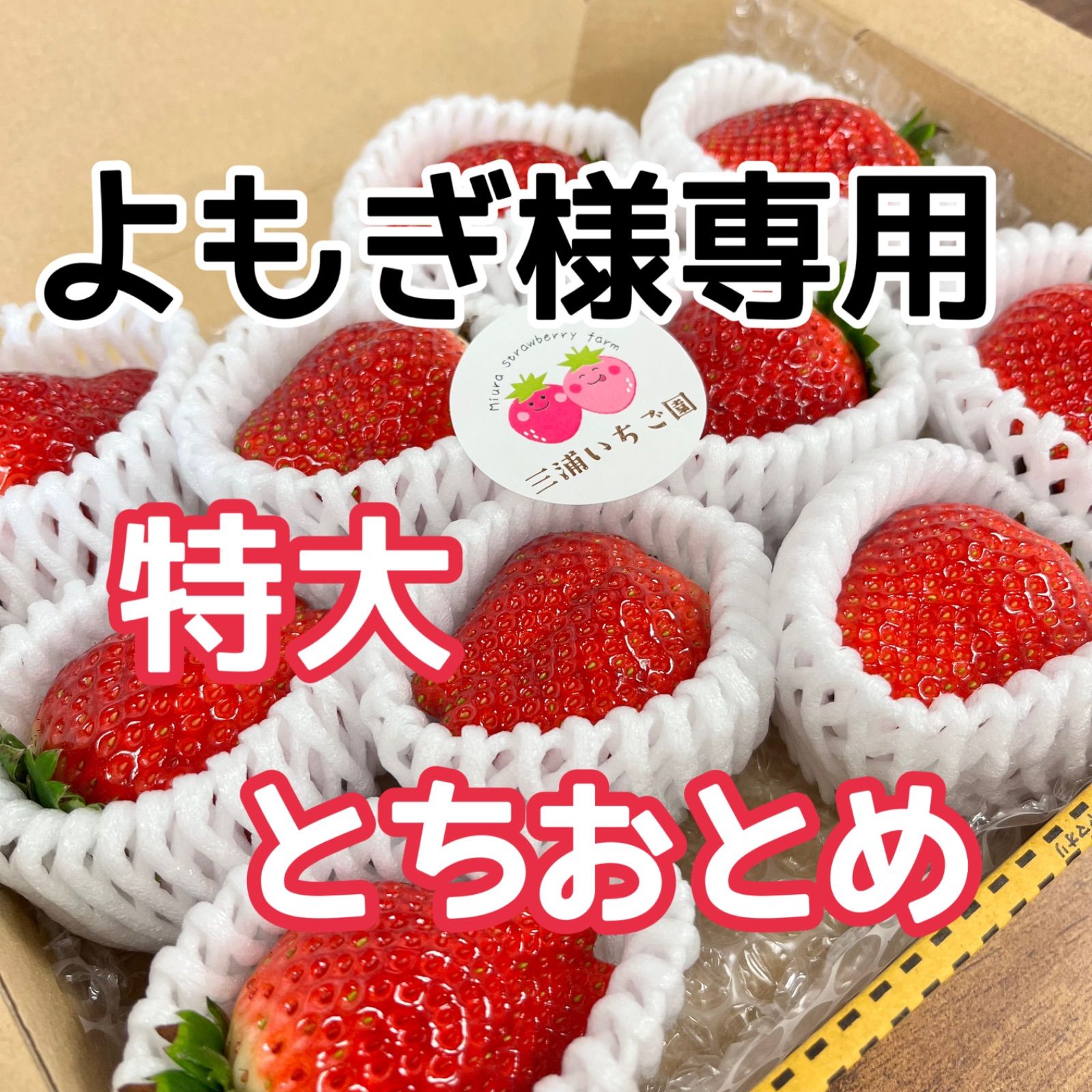 よもぎさん様専用 【公式通販】