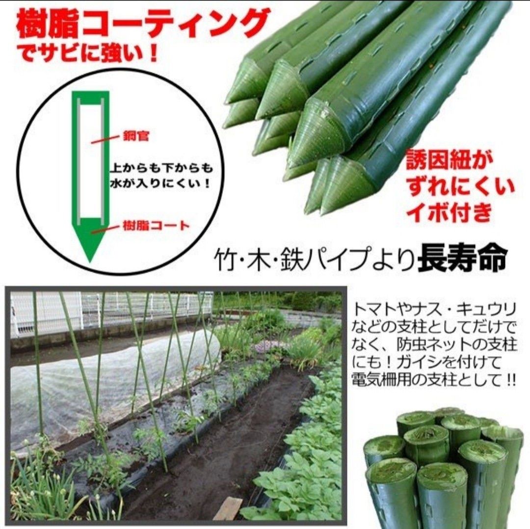 オリジナル イボ付き 鋼管支柱 100本入り 16mm×120cm(バンド付き