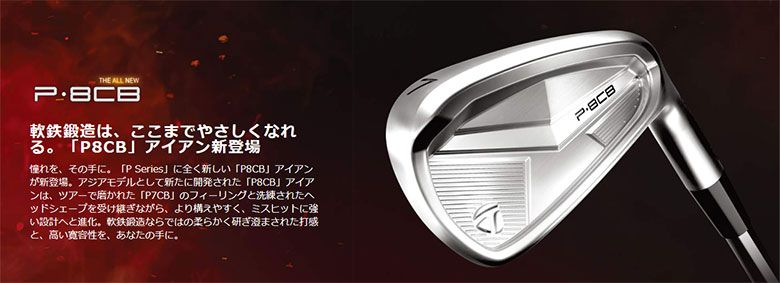 テーラーメイド P8CB アイアンセット 5本組(6-P) N.S.PRO MODUS3 TOUR 