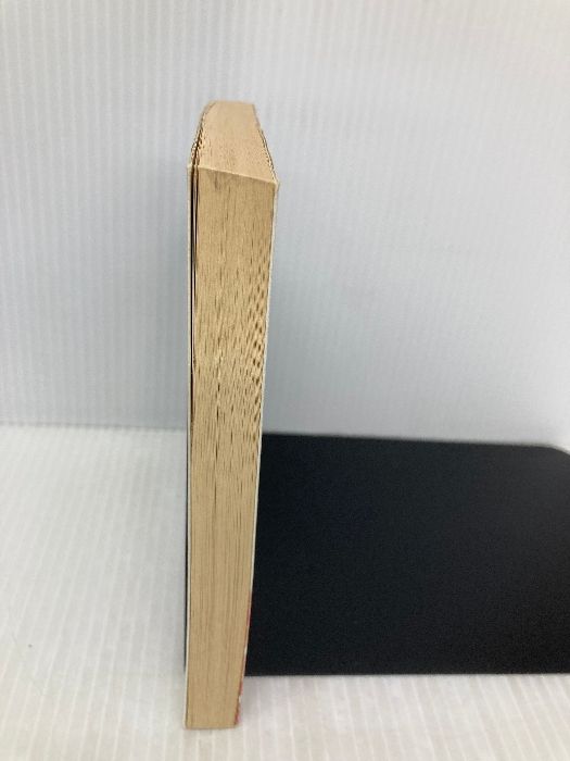 野獣たちの標的 (天山文庫 た 2-4 野獣外伝 4) 天山出版 竹島 将