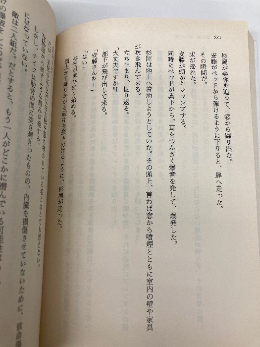 野獣たちの標的 (天山文庫 た 2-4 野獣外伝 4) 天山出版 竹島 将