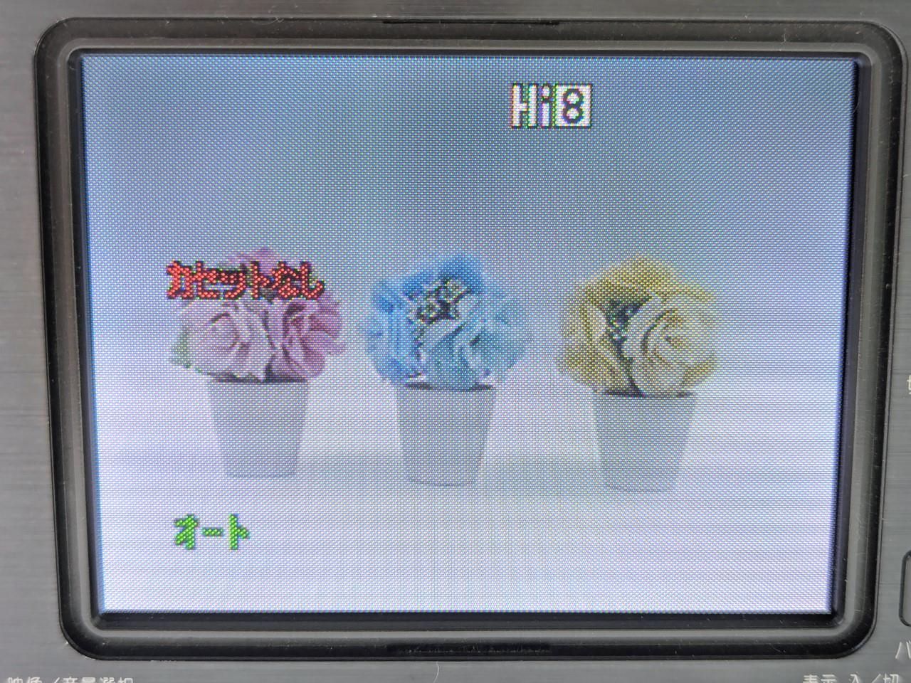8mmテープのダビングに！ SHARP ビデオカメラ VL-HL3 8mmテープのダビングに！ SHARP ビデオカメラ VL-HL3 02 7日間保証付き