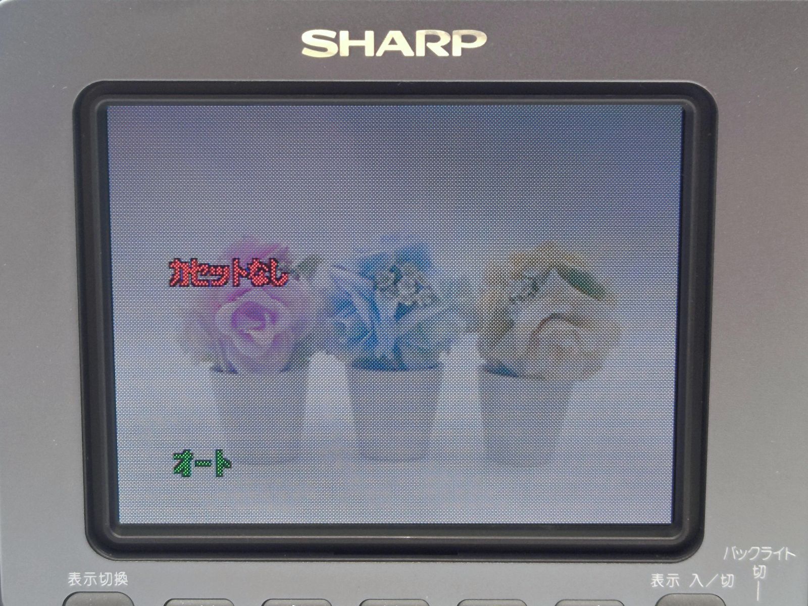 8mmテープのダビングに！ SHARP ビデオカメラ VL-HL50 02 7日間保証