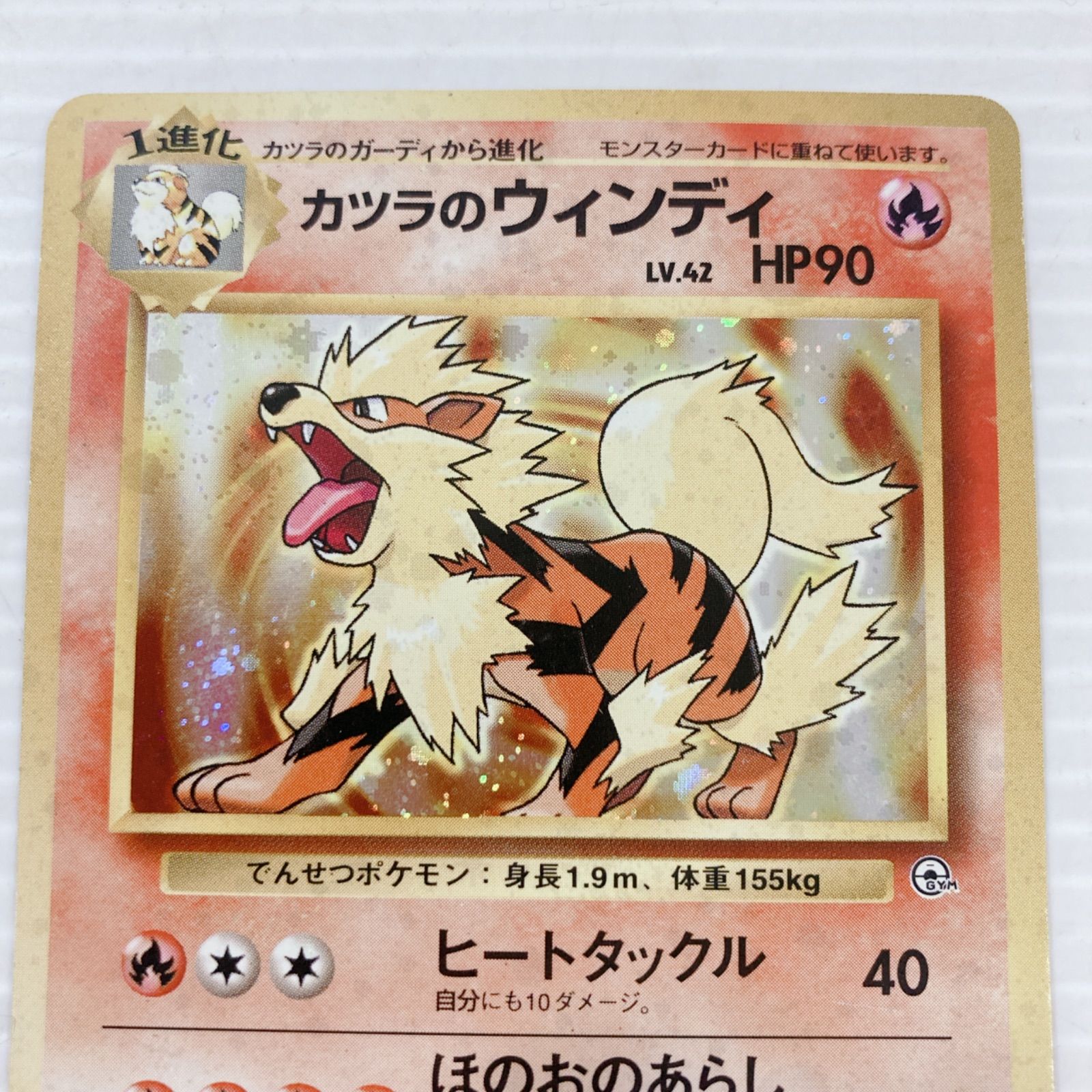 ポケットモンスター ポケモンカードゲーム ポケカ カツラのウィンディ 
