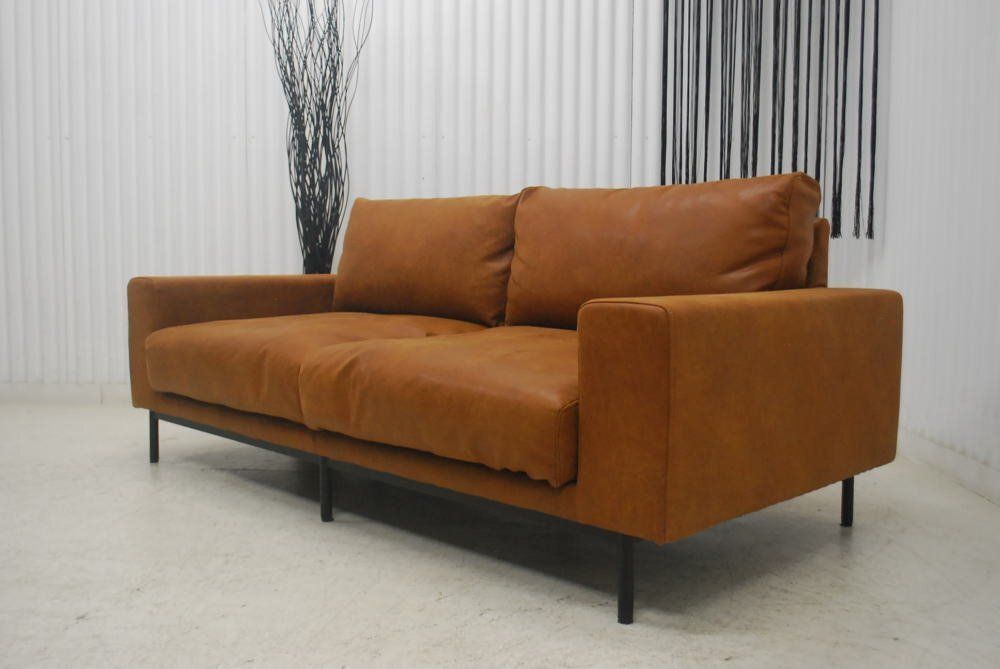 250726-プルート2.5pオーカー