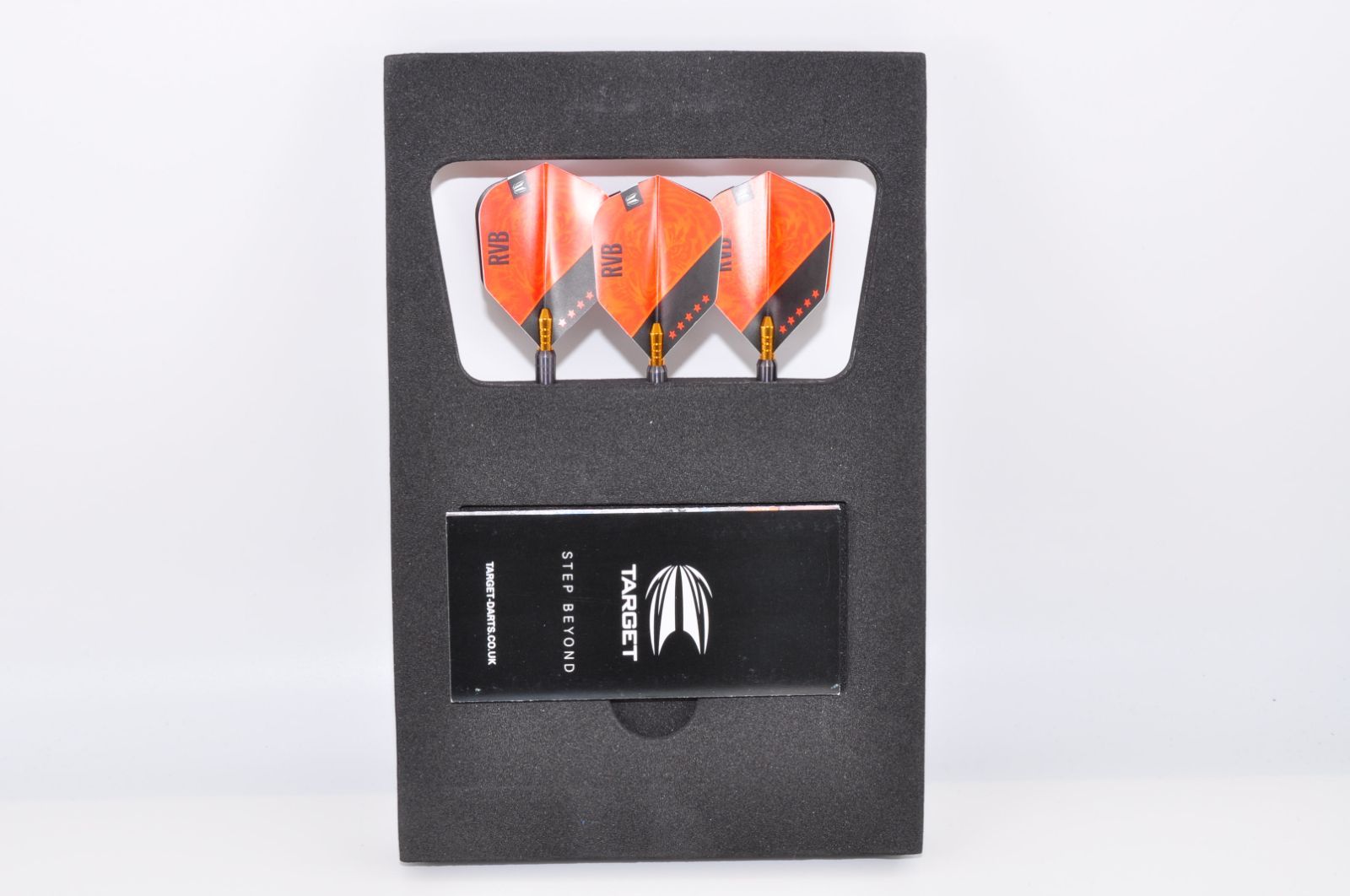  ターゲット RVB 95 レイモンド ヴァン バーナベルドモデル ジェネレーション4 ロジックゲーム ダーツ パズル ボードゲーム