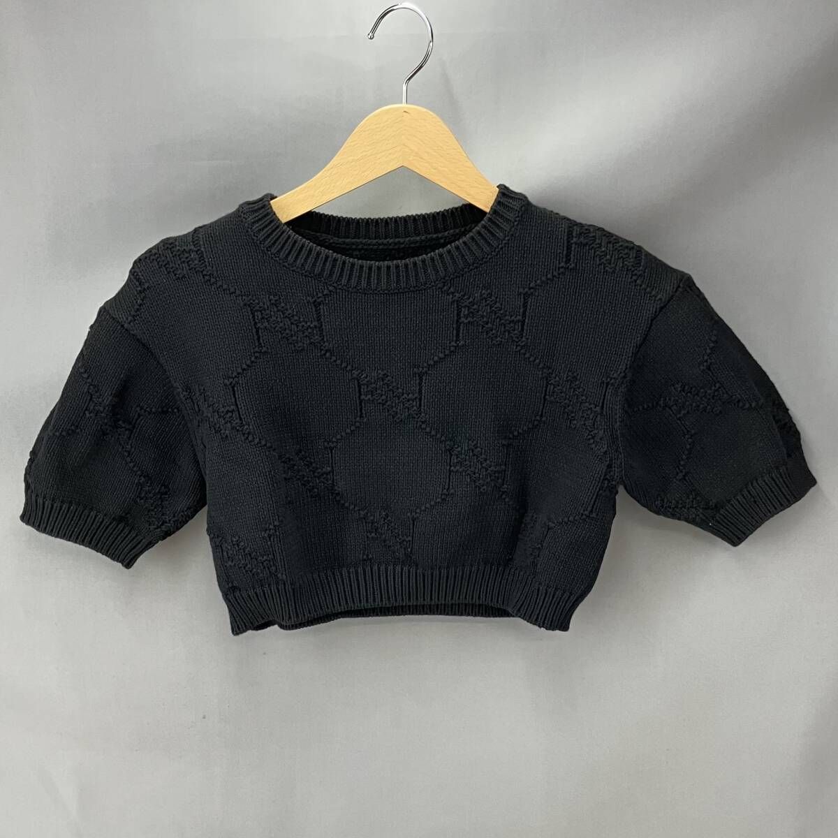 ☆ HAENGNAE ヘンネ 半袖ニットKISHIMEN CROPPED TOP サイズ フリー