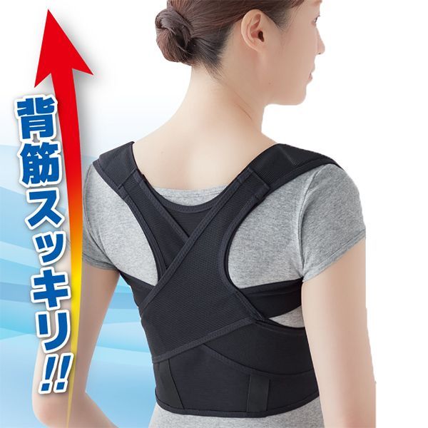 背筋すっきり二重ベルト姿勢サポーター　3L　4L　5L　日本製　猫背矯正ベルト　背筋矯正ベルト 　姿勢矯正ベルト　大きいサイズ　セルヴァン