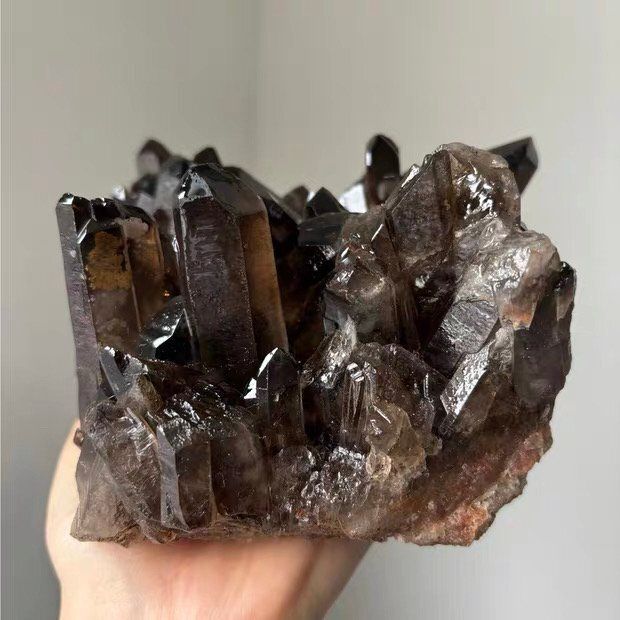 ◆天然モリオン