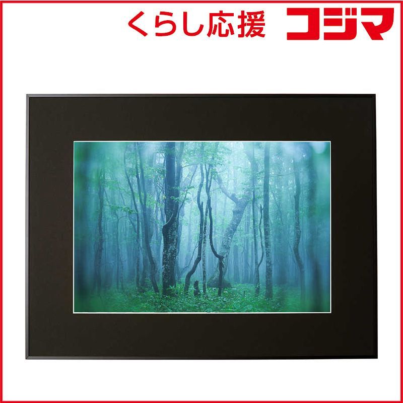 【 新品 未開封 】 ケンコー ギャラリー A3ノビ ブラック AGY-A3N-BK 未使用 送料無料