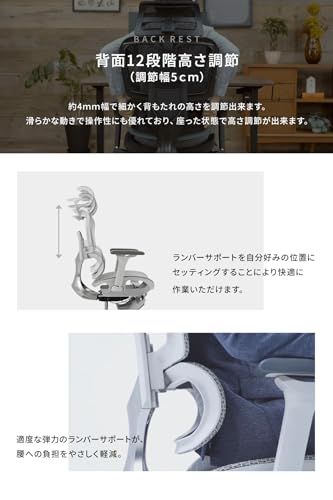 寝れる多機能オフィスチェア ErgoSiesta