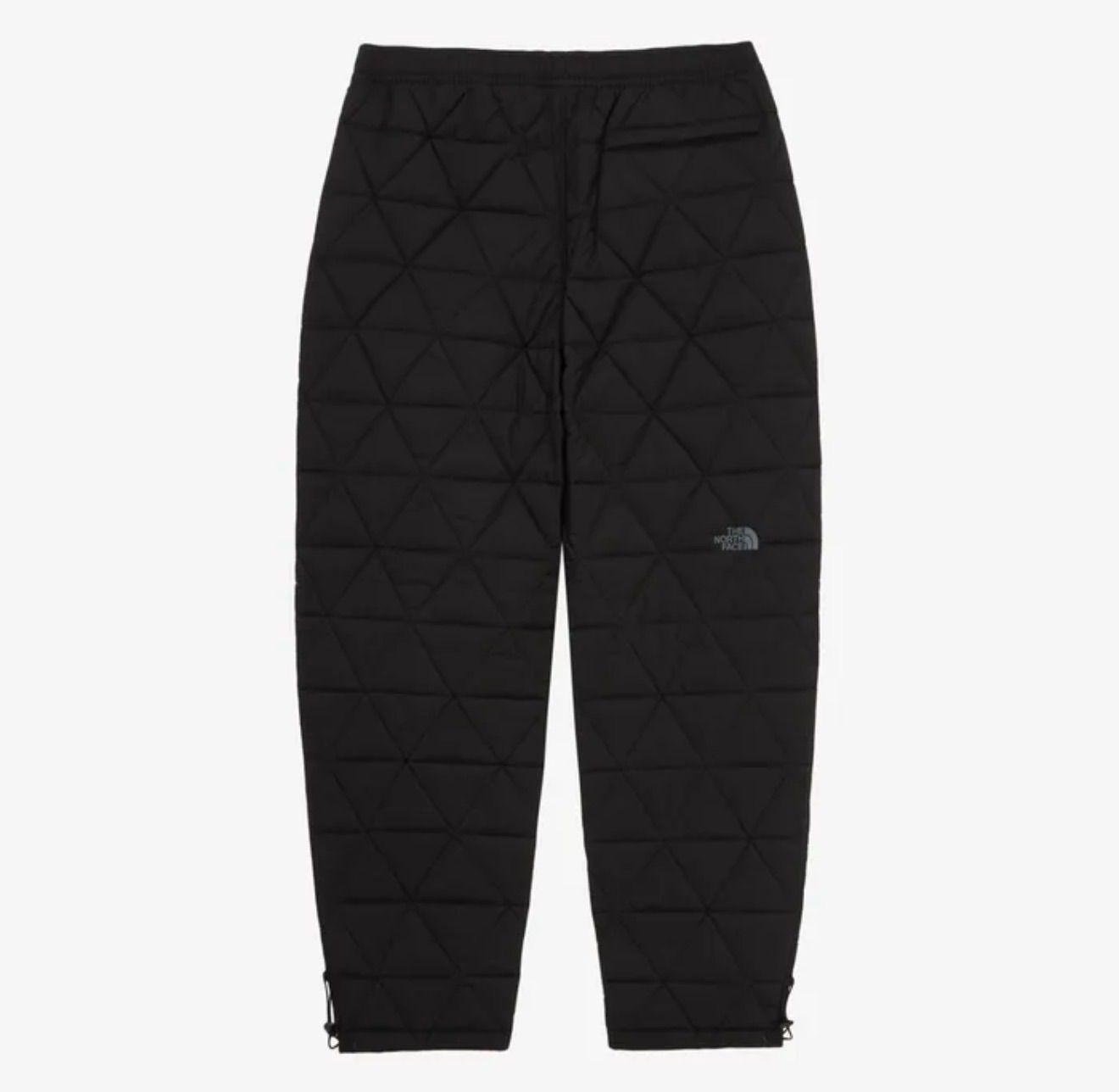 THE NORTH FACE  M'S GEODOME V PANTS