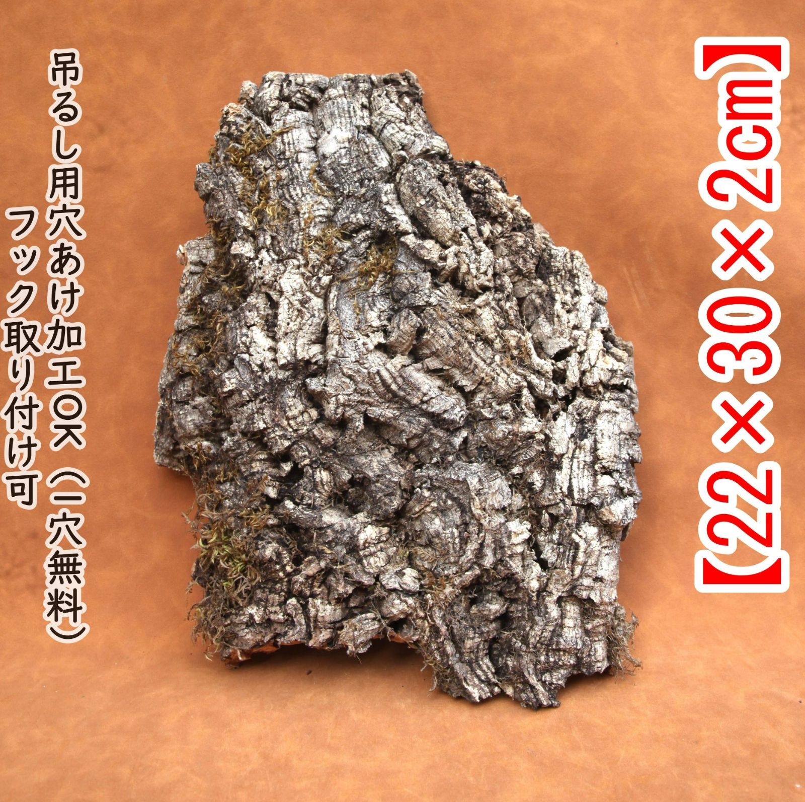 H546 ポルトガル産 厚め コルク樹皮 コルク板　バージンコルク 送料無料 C051 ポルトガル産 コルク樹皮 キャノンコルク バージンコルク 送料