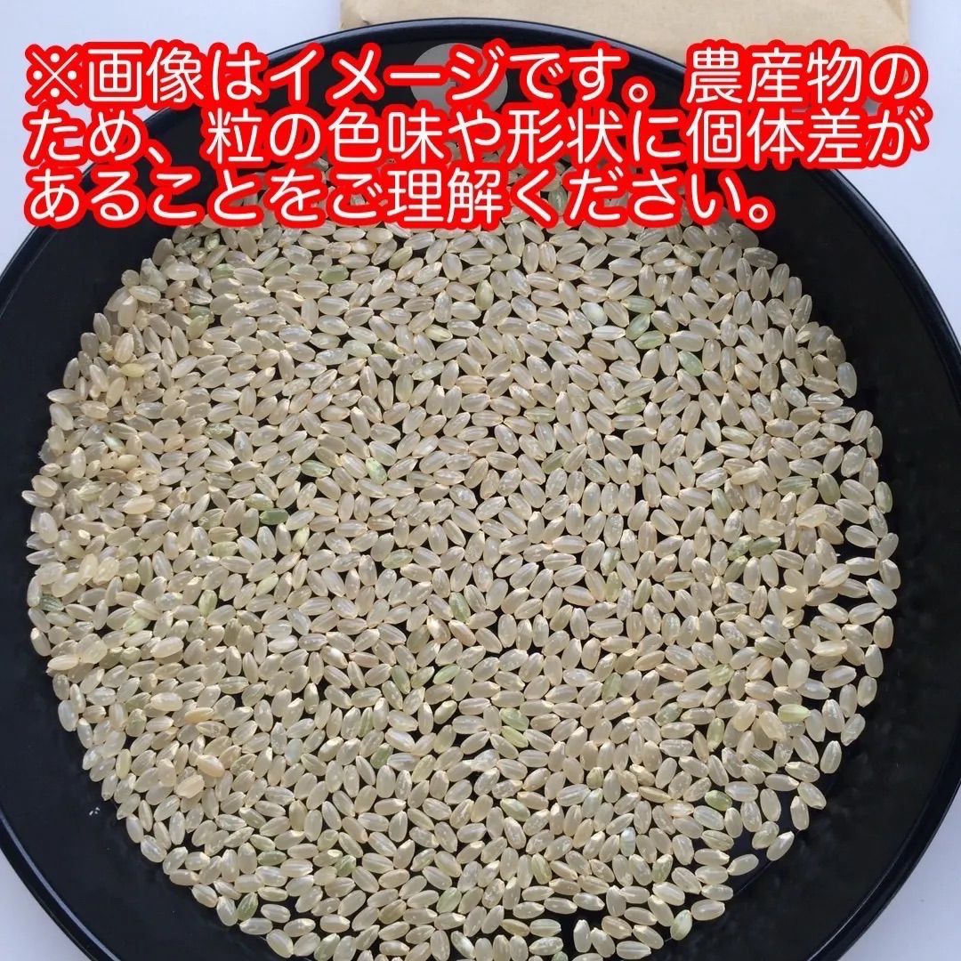 岩手県産 令和7年産 ひとめぼれ玄米 30kg 送料込 - メルカリ