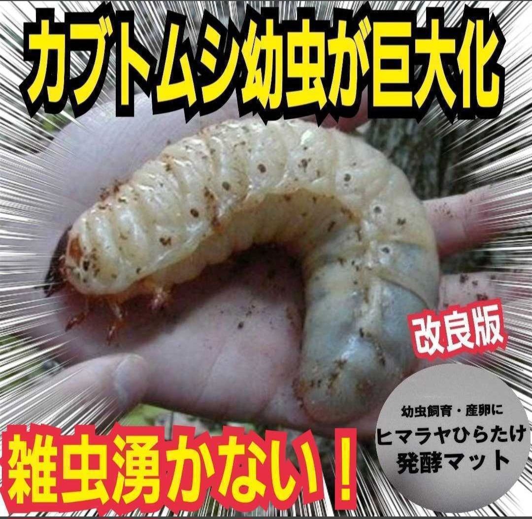 たっぷり100リットル！お買い得！カブトムシ幼虫の餌☆丸々太ります！産卵にも抜群 たっぷり100リットル！お買い得！カブトムシ幼虫の餌☆丸々太ります