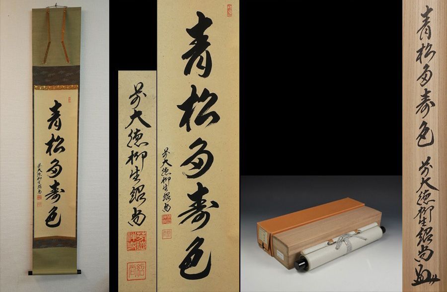 掛軸 大徳寺 柳生芳徳禅寺 橋本紹尚筆（柳生紹尚） 一行書「青松多寿色