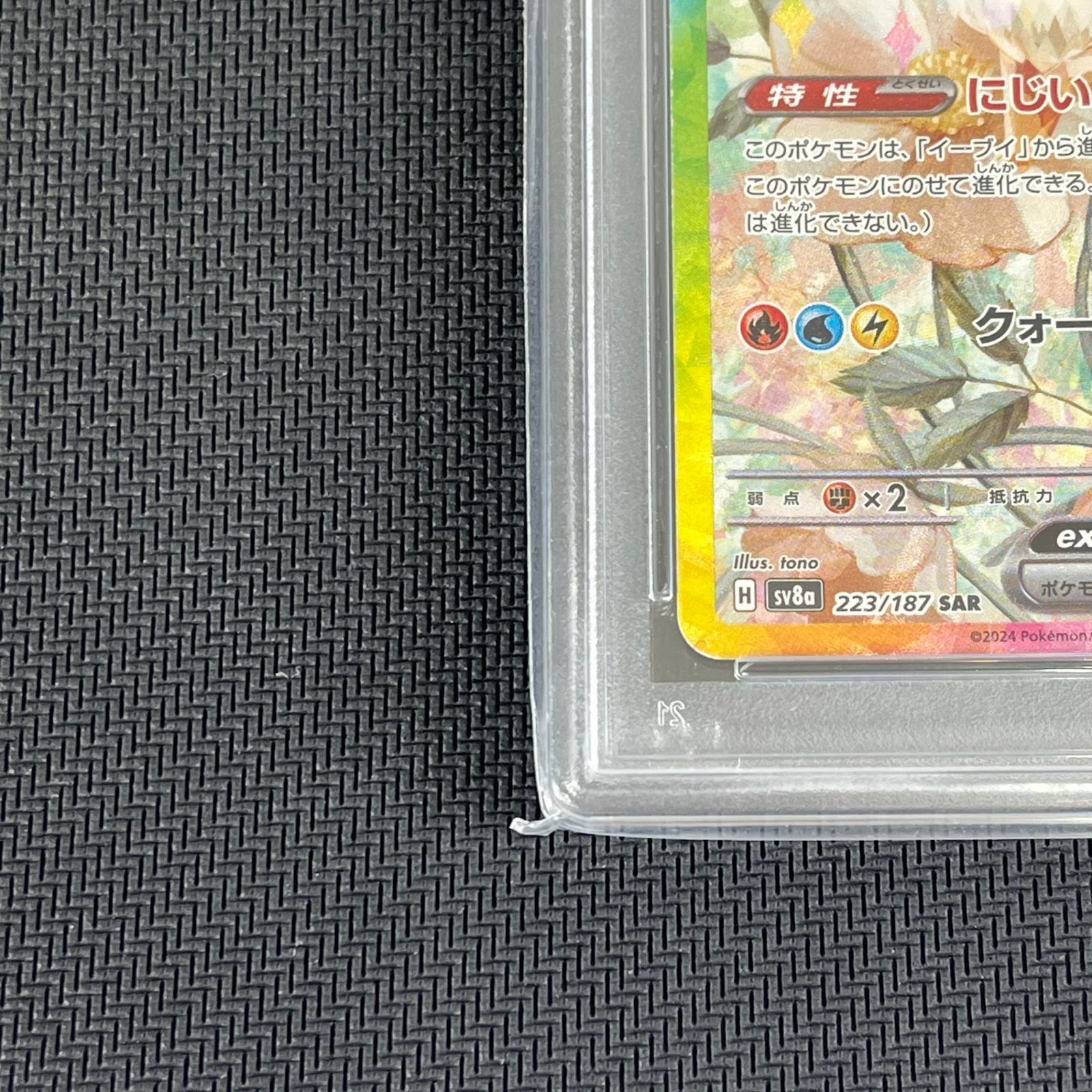 PSA10 ポケカ イーブイex 223/187/SV8A/B テラスタフェスex 花 【公式 