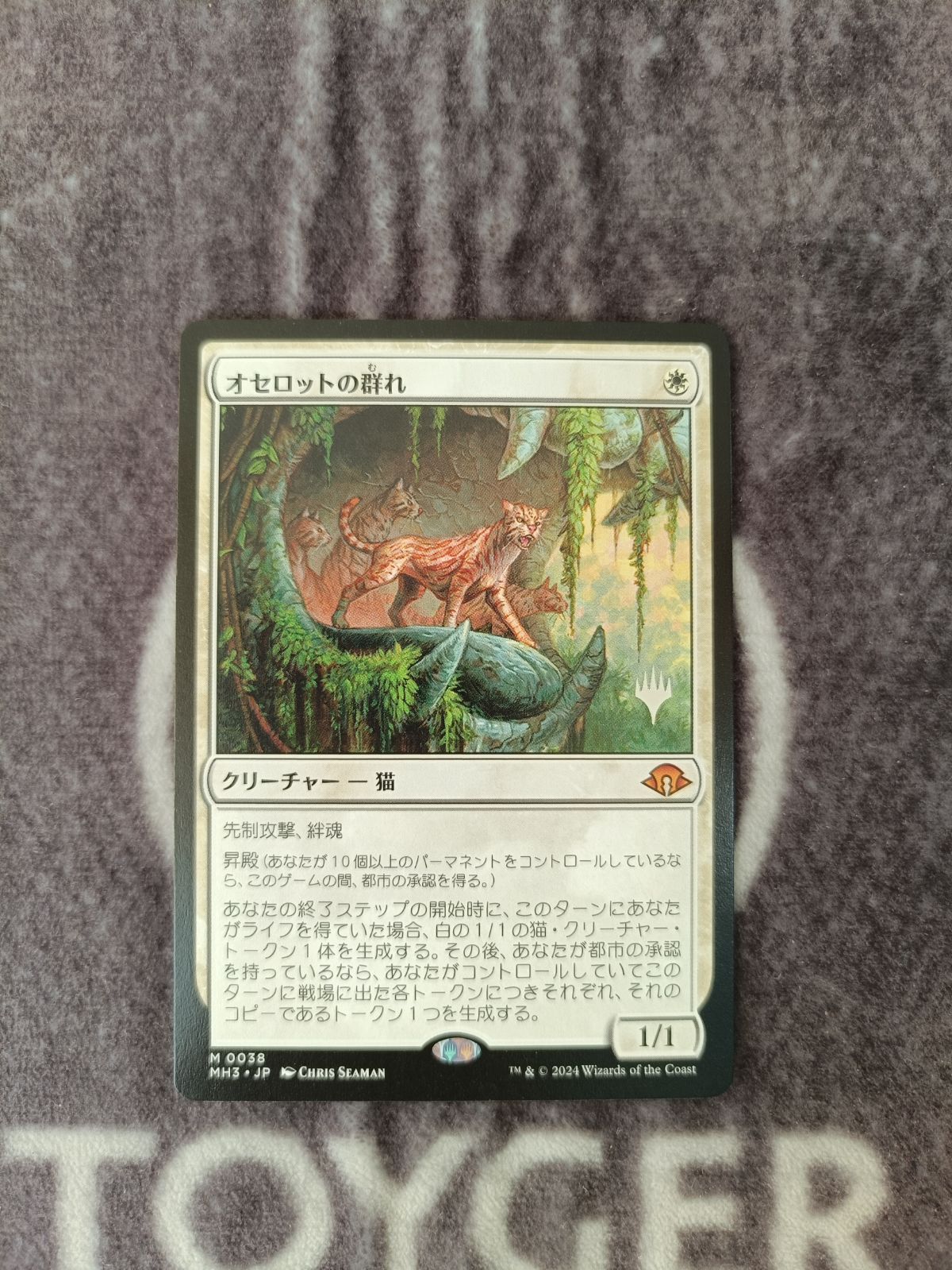 MTG オセロットの群れ ストアチャンピオンシップ プロモ非FOIL ○mtg オセロットの群れ ストアチャンピオンシップ プロモ - メルカリ