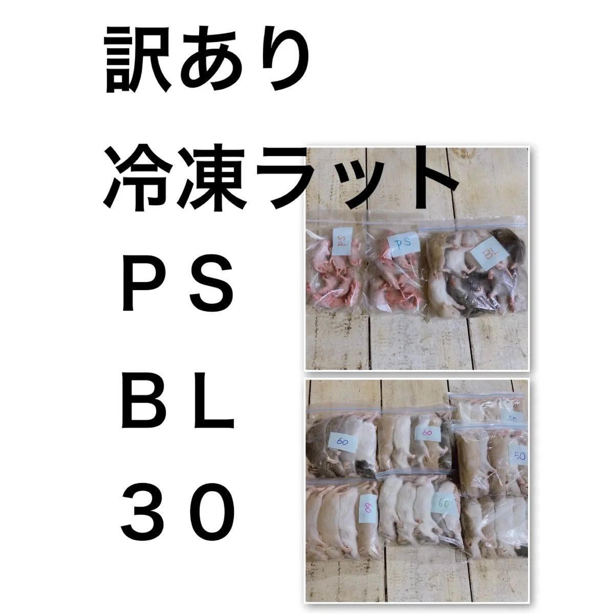 訳あり 冷凍ラット まとめ売り① - メルカリ