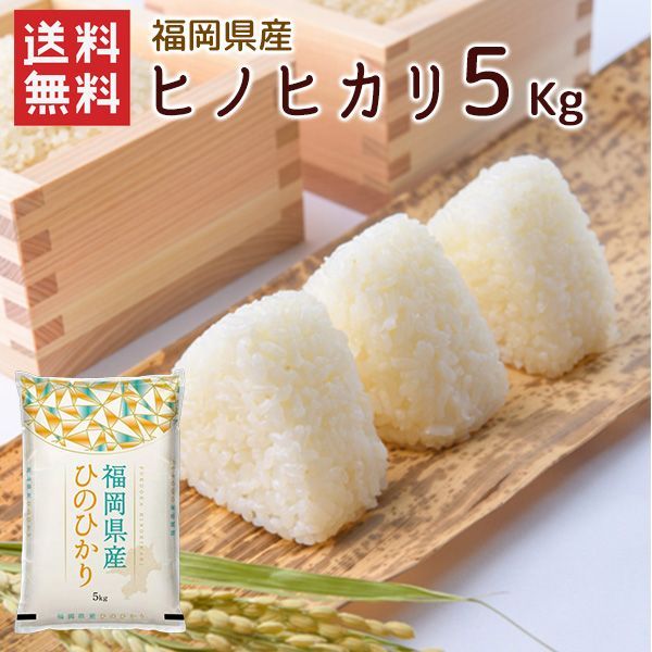 令和7年産 福岡県産 しんまる ひのひかり 5kg Amazon.co.jp: 令和7年産