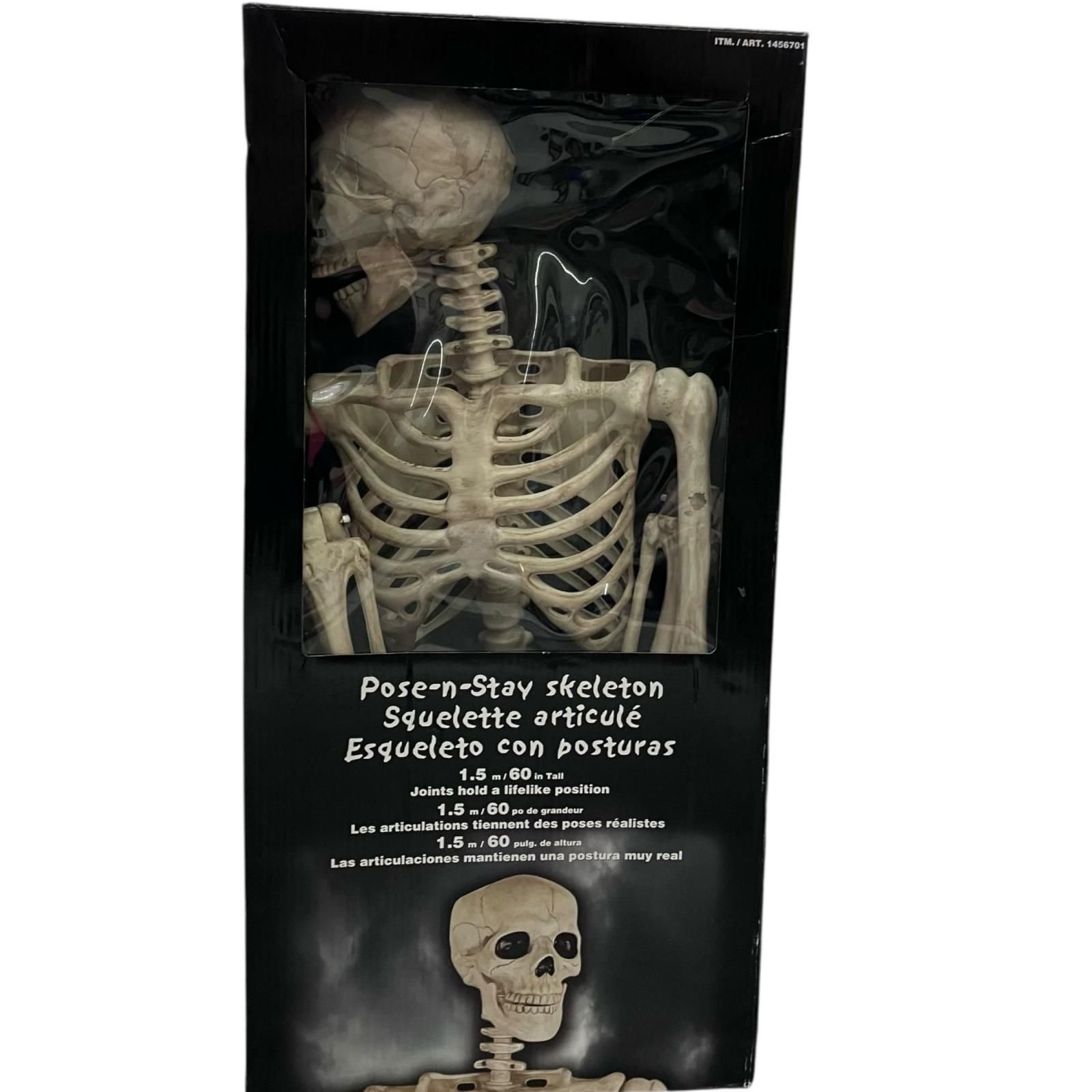 186000 現状品 POSE-N-STAY SKELETON SQUELETTE  ARTICULE ESQUELETO CON POSTURAS ポーズスケルトンフィギュア [250616HM110058] 186000 現状品 POSE-N-STAY SKELETON SQUELETTE ARTICULE ESQUELETO