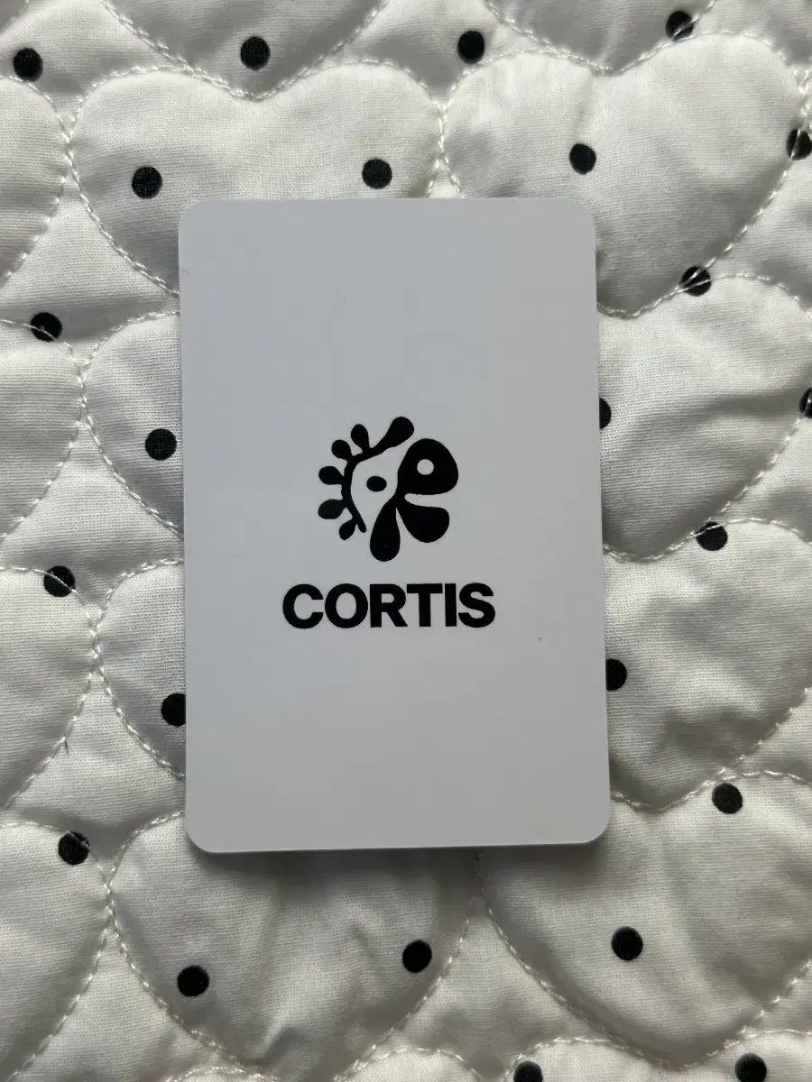 cortis ラッキー アンゴンホ カード トレカ コルティス 日本 ゴンホ cortis コルティス トレカ kpop - メルカリ K-POP・アジア