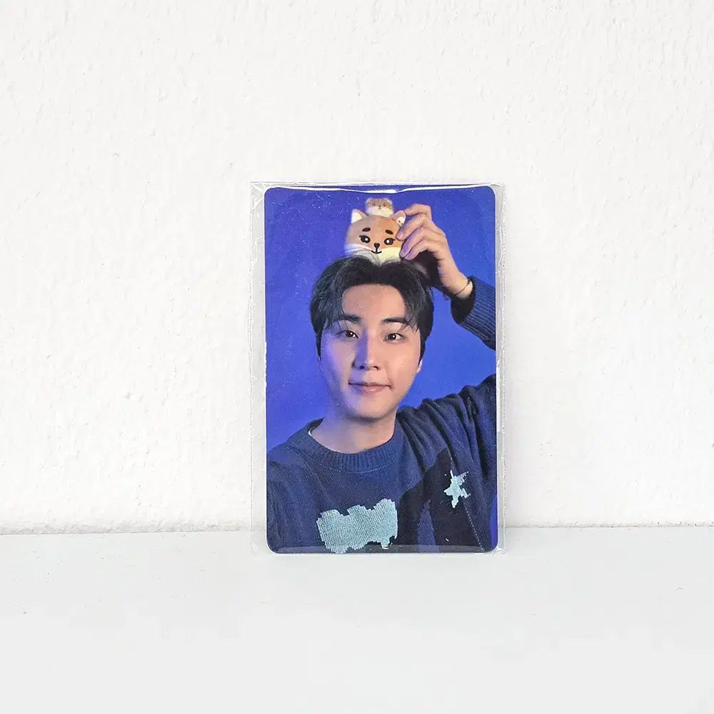 DAY6 ヨンケイ Dicon トレカ 10枚まとめ DAY6 ヨンケイ Dicon トレカ 10枚まとめ DAY6 ヨンケイ Dicon トレカ