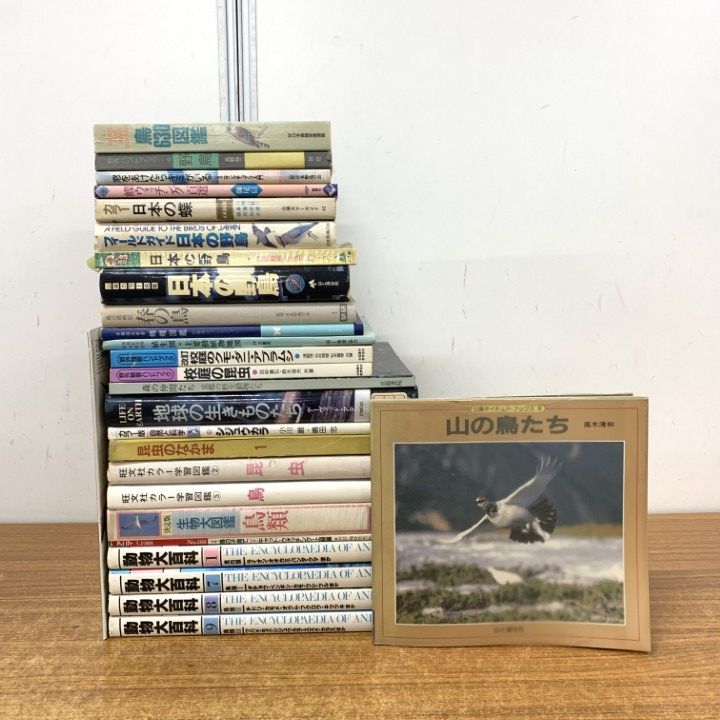 新作登場，豊富な】 絵本 まとめ売り 34冊 福音館書店 偕成社