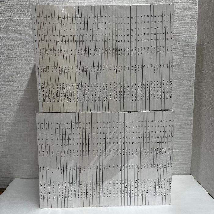 待兼山論叢 不揃い83冊セット 哲学 文学 日本学 文化動態論 史学 美学 大学紀要 論文集 まとめて