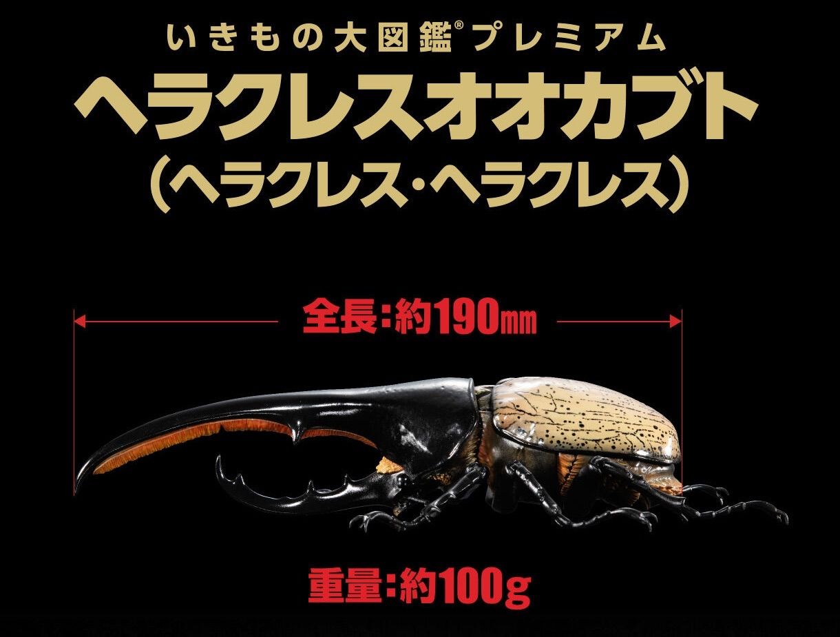いきもの大図鑑プレミアム ヘラクレスオオカブト（ヘラクレス