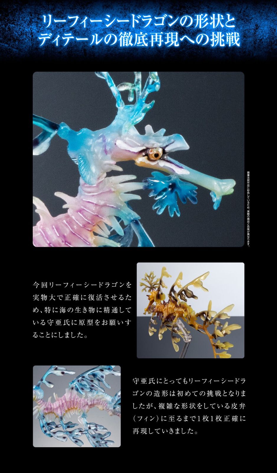 いきもの大図鑑プレミアム リーフィーシードラゴン ブルー oth - メルカリ
