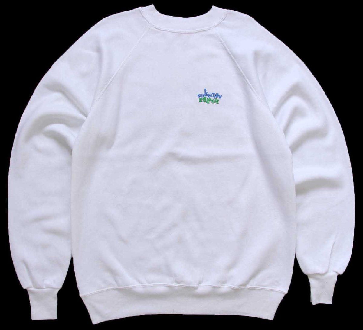 90s USA製 Hanes GENERATION ECOLOGIE 刺繍 スウェット 白 L☆オールド 