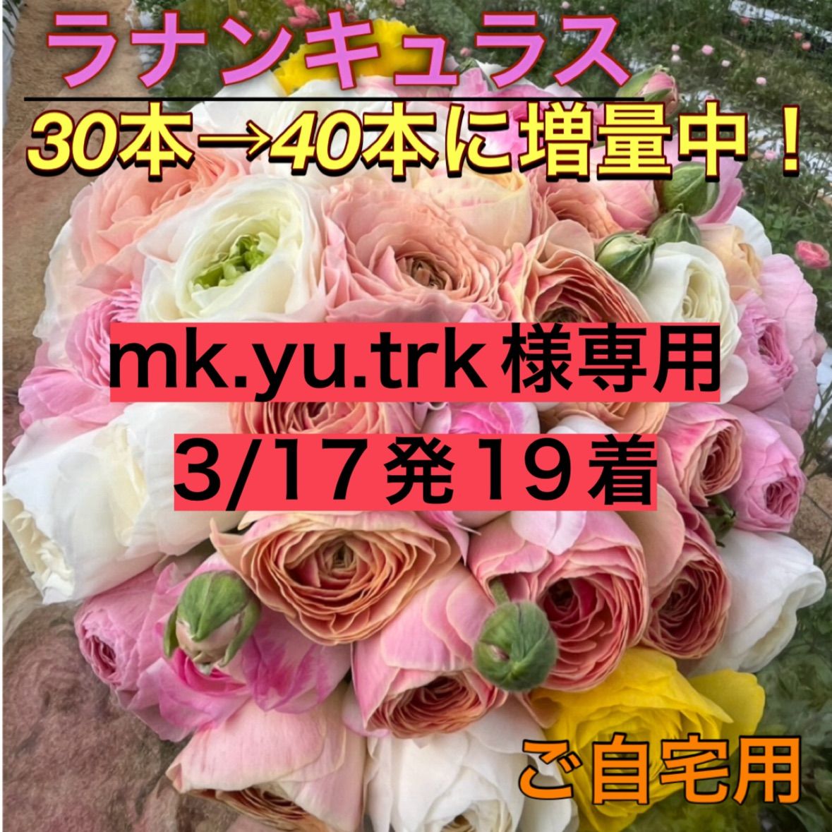専用　ラナンキュラス 専用 ラナンキュラス 【公式通販】