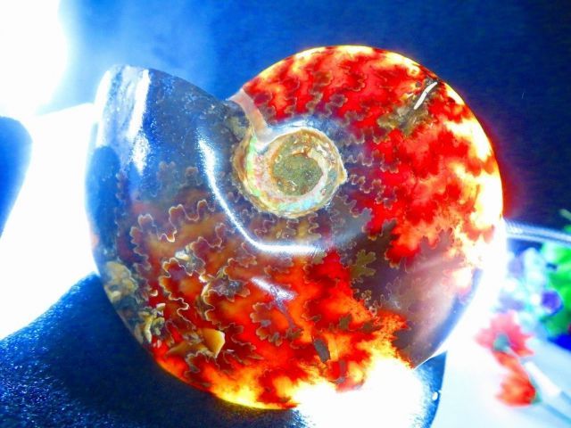 数万個の中の一個☆天然マダガスカル産 ☆ 縫合線オパールアンモナイト