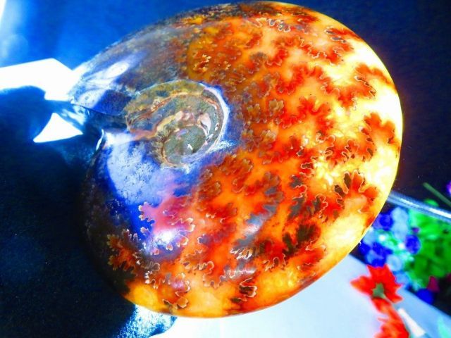 数万個の中の一個☆天然マダガスカル産 ☆ 縫合線オパールアンモナイト