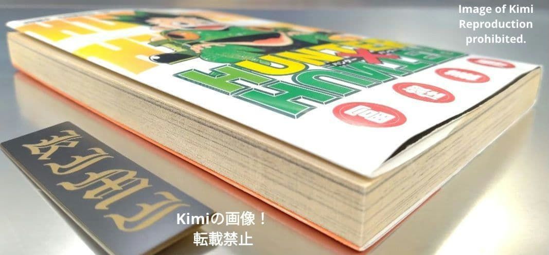 HUNTER×HUNTER 1 初版 第1刷発行 冨樫義博 ハンター×ハンター とがし