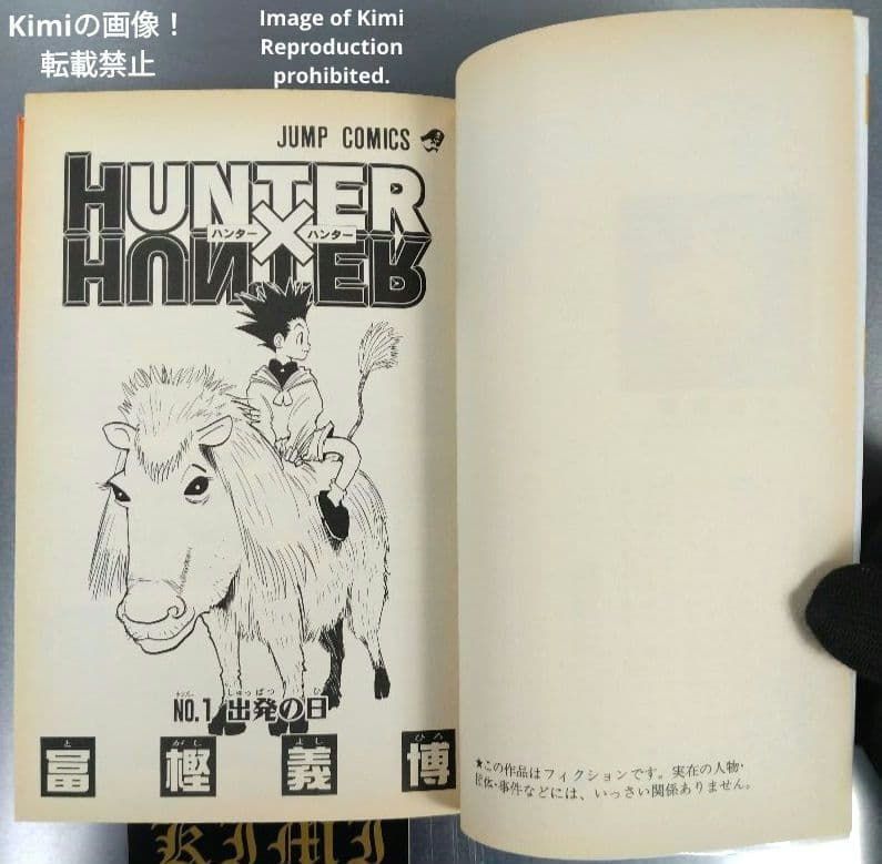 HUNTER×HUNTER 1 初版 第1刷発行 冨樫義博 ハンター×ハンター とがし