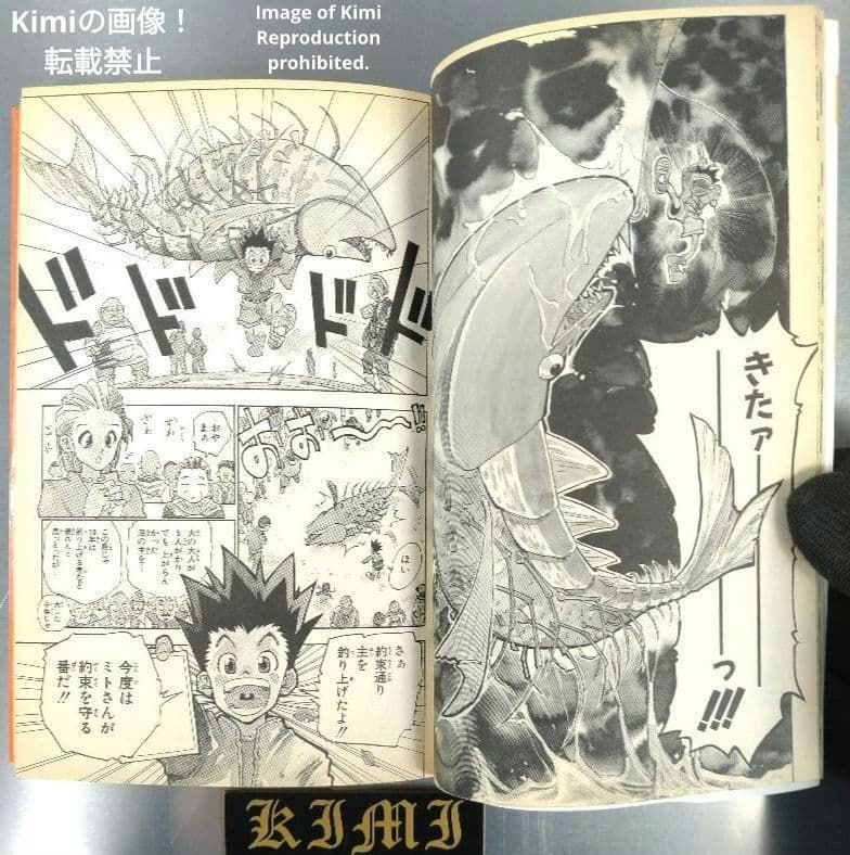 HUNTER×HUNTER 1 初版 第1刷発行 冨樫義博 ハンター×ハンター とがし